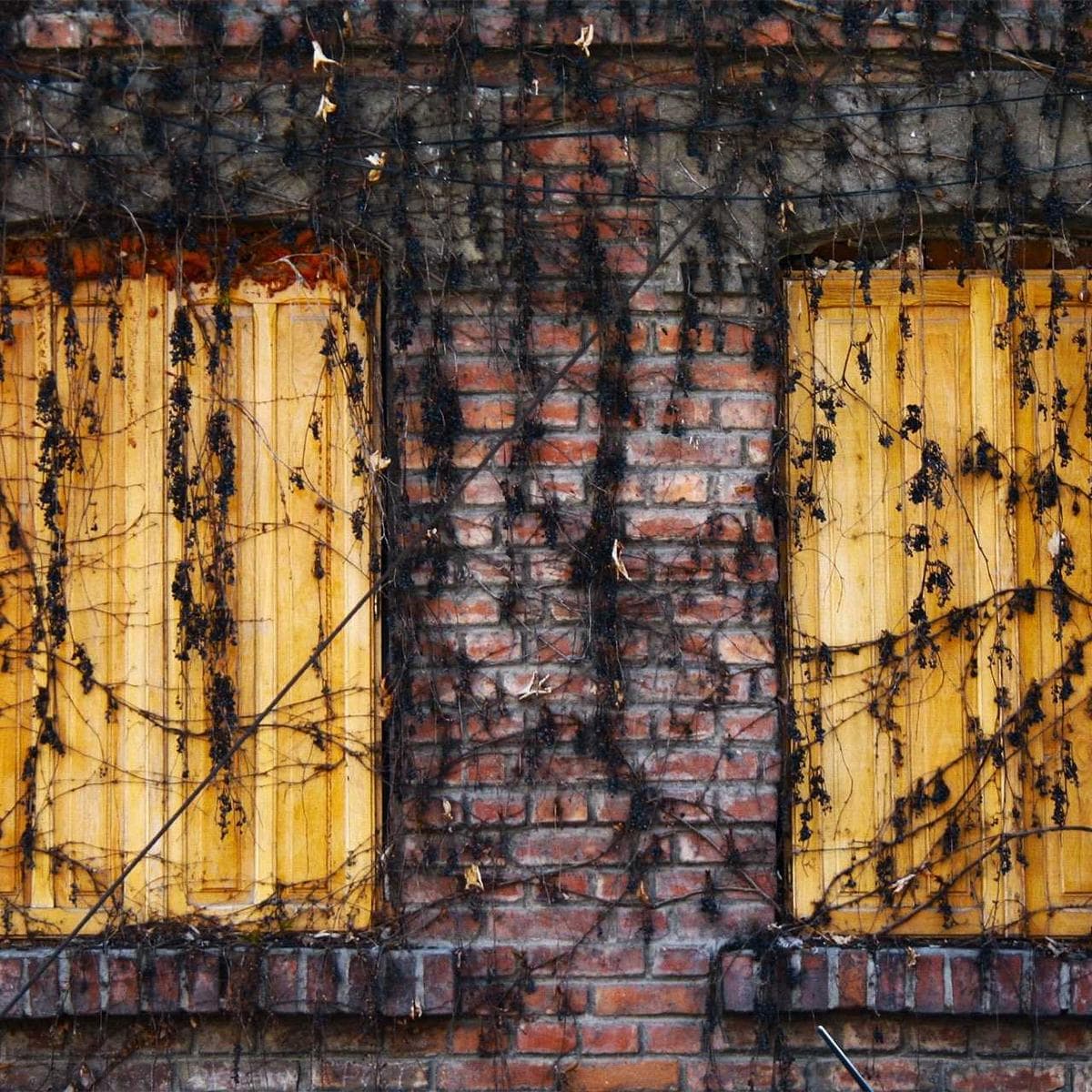 Hinge profile photo #172