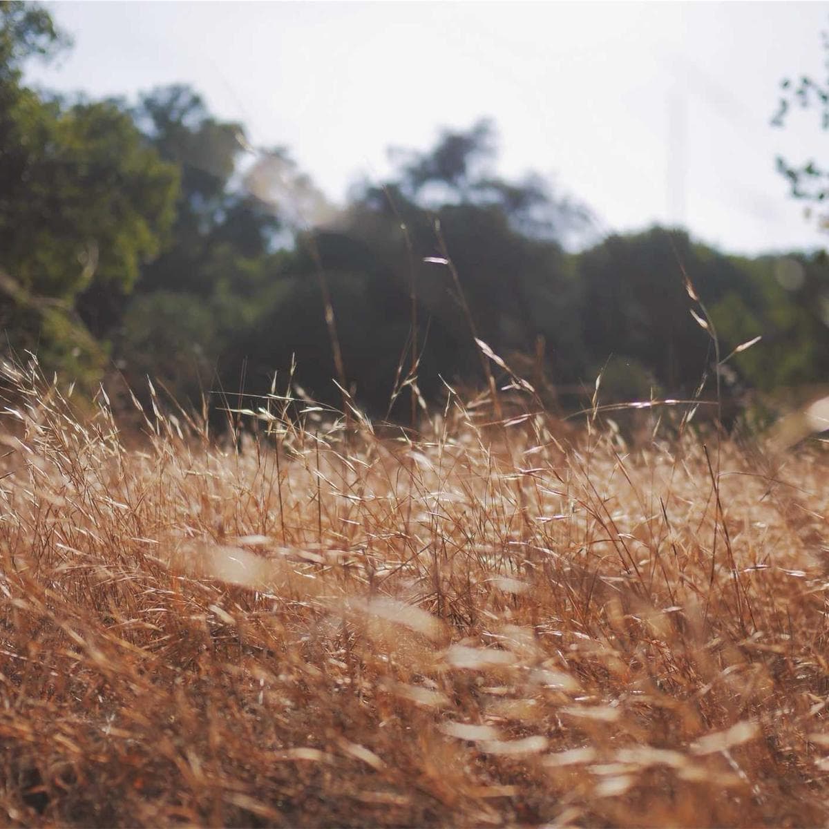 Found photo #105