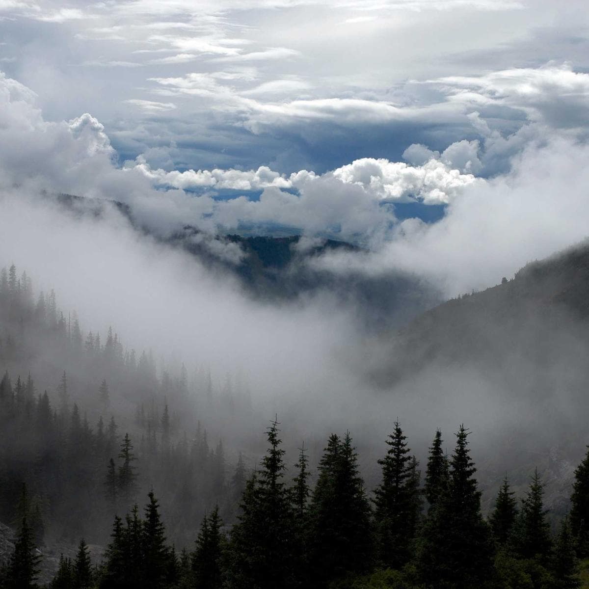 Found photo #15