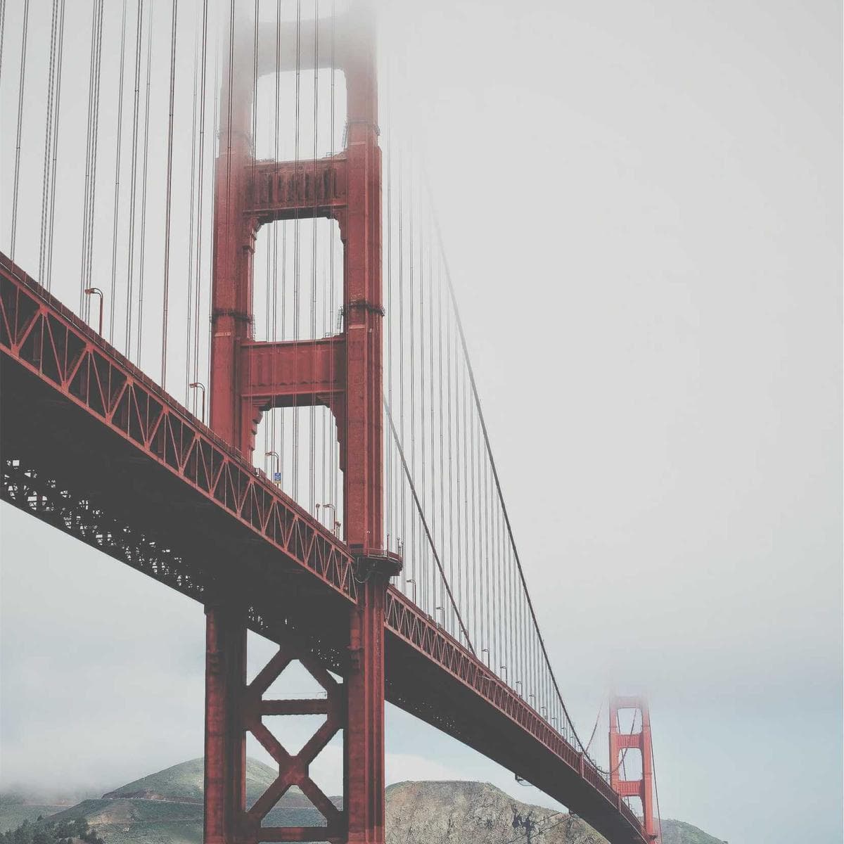 Found photo #685