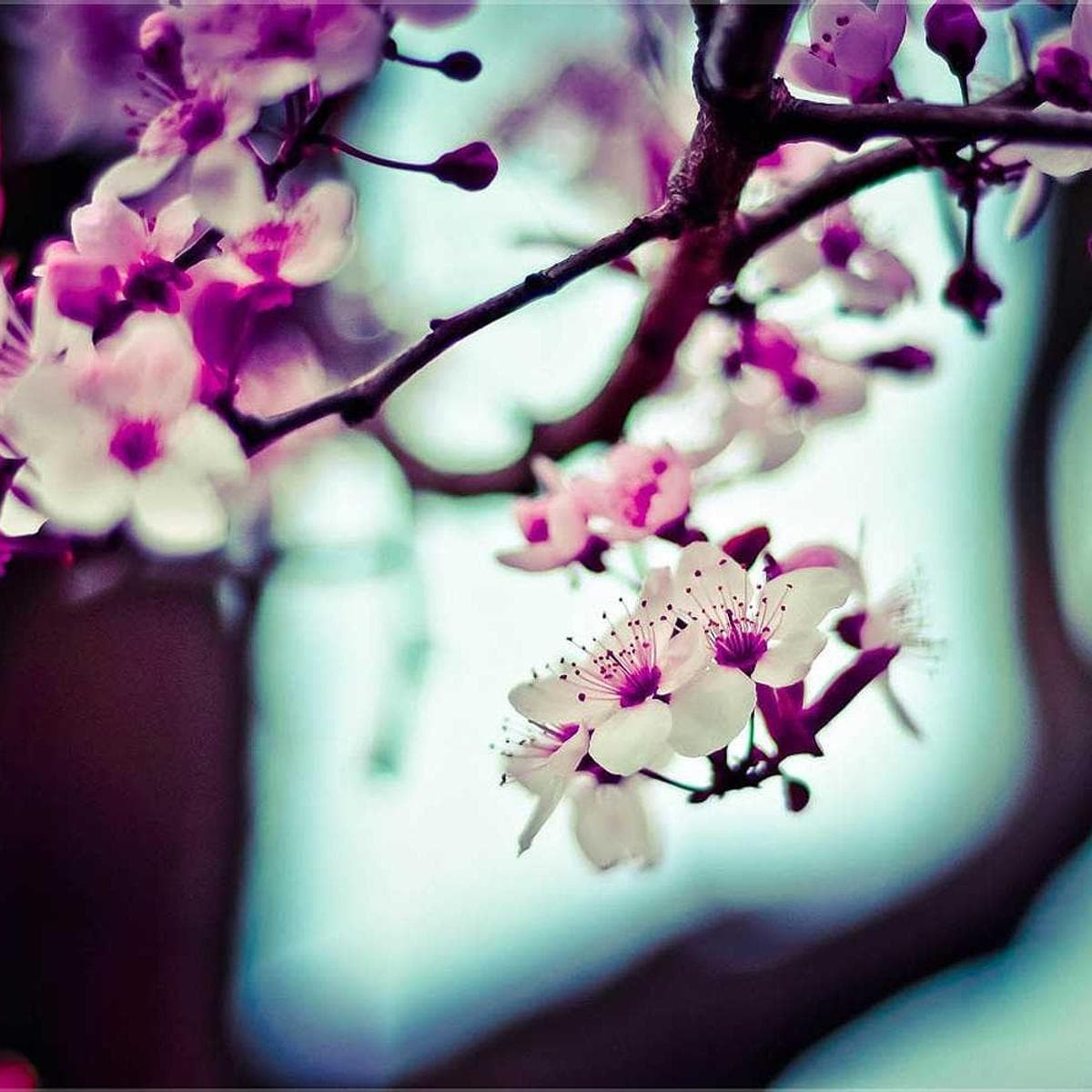 Found photo #765