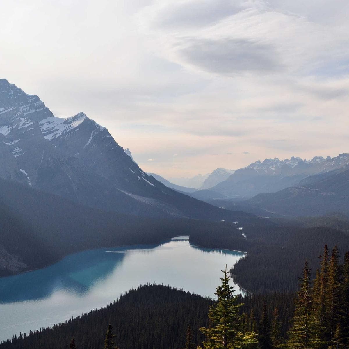 Composite image #44