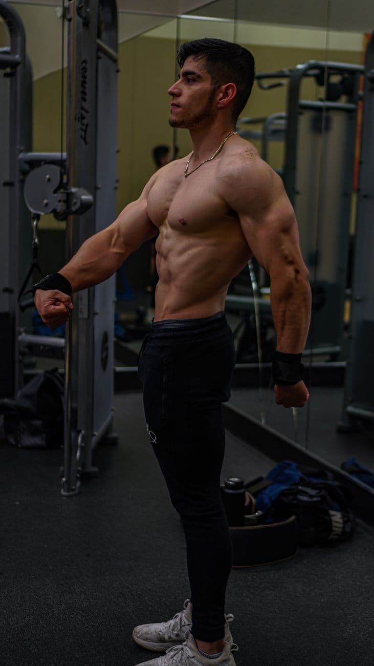 Muscular man flexing his muscles in a gym setting, showcasing strength and fi… · Instituto Alpha Fitness #16962908